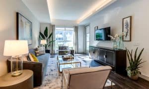 Living room with a sofa, armchair, TV, and plants.